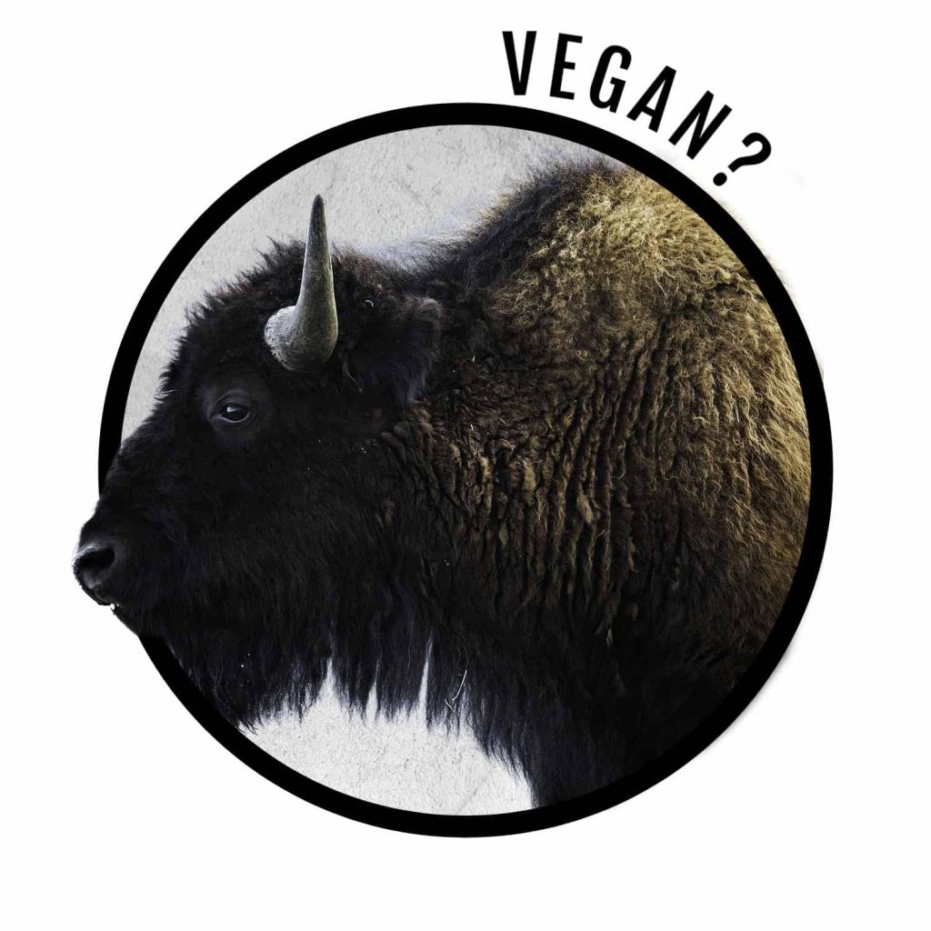 bison side effects include killing bison.