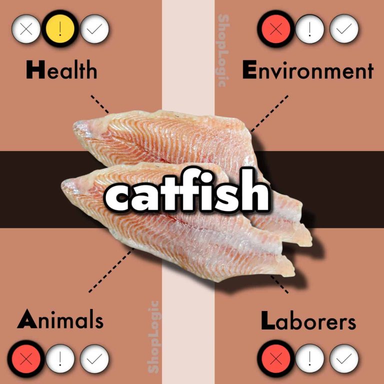 catfish benefits and side effects