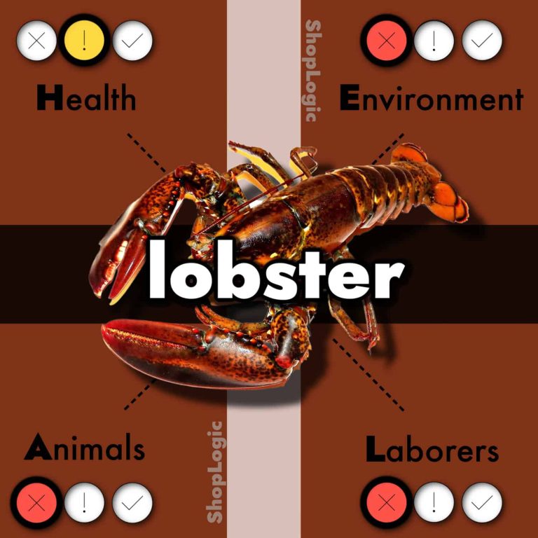 lobster benefits and side effects
