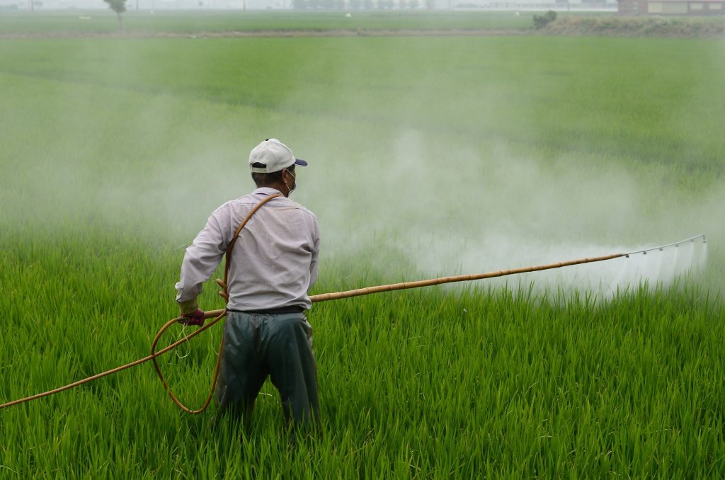 Why Buy Organic? A Dirty Dozen Reminder